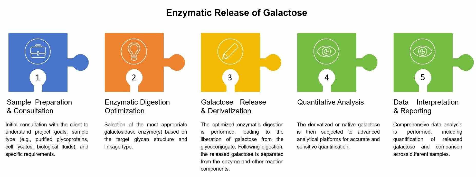 Workflow for the enzymatic release of galactose. (CD BioGlyco)