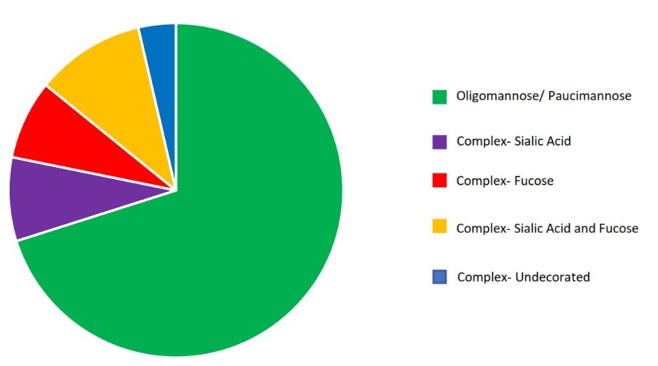 (CD BioGlyco)