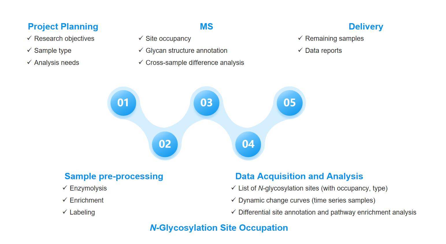Workflow for N-glycosylation site analysis. (CD BioGlyco)