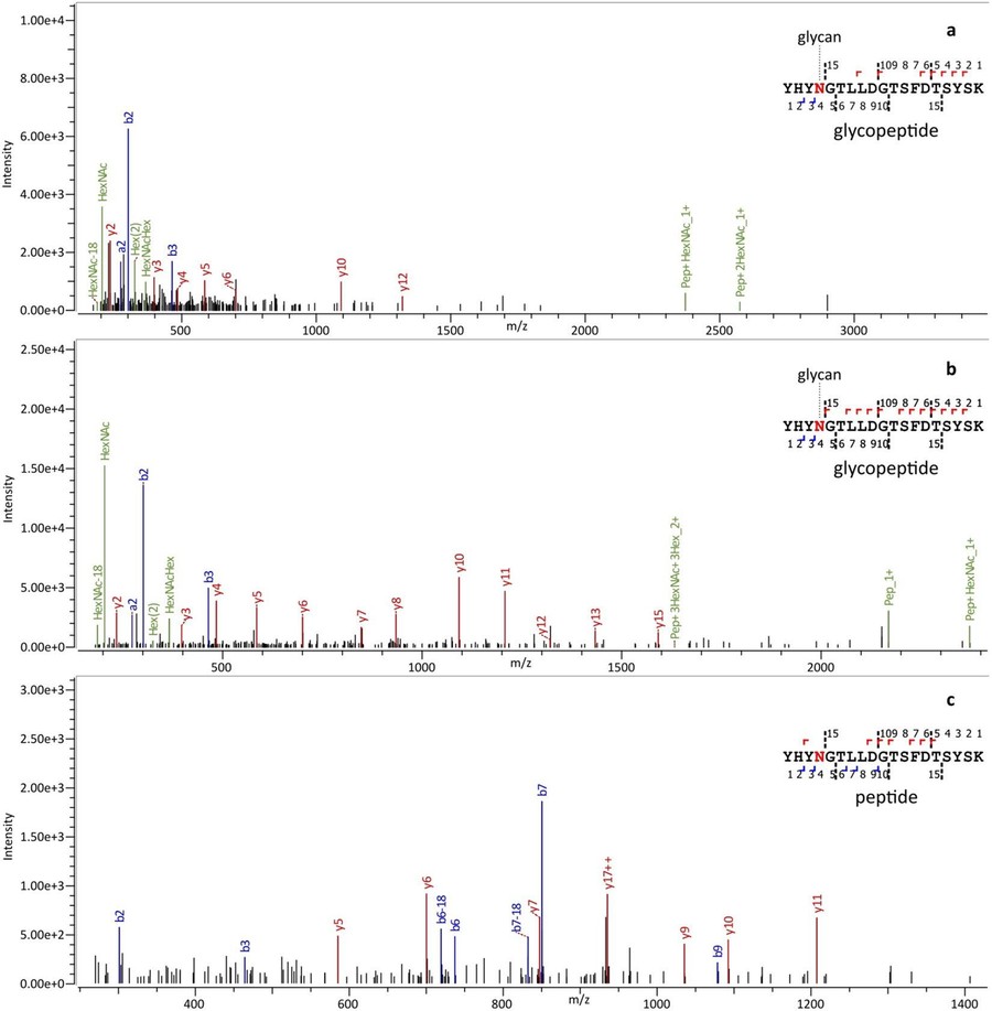 Fig.1 Glycopeptide MS/MS spectra.