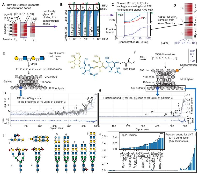 Conversion of disparate binding measurements to a unified fraction-bound scale.